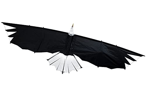 Revolution Kites Eagle Sport Wing with Reflex