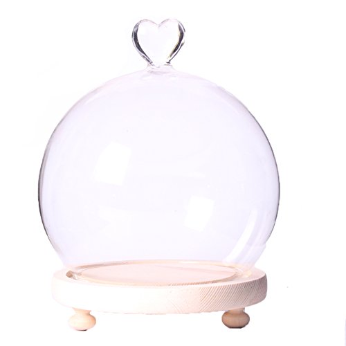 Siyaglass Clear Glass Cloche Globe Display Dome Bell Jar with Heart Handle Wooden Base Dia 5.9 inch