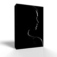 Canvas Wall Art Wine Glass Canvas Prints Home Artwork Decoration for Living Room,Bedroom - 12x18 inches