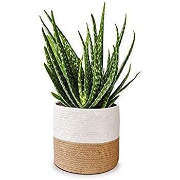 DICE WORLD Floral Pot Bag Natural Jute & Cotton Plant Bag for All Plants Home Room Hall Decor Indoor Outdoor Office Plant Sack in Storage Basket (8x8 INCH)