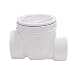 Canplas 73008 Backwater Valve, 3-Inch PVC, White