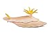 Safari Ltd. Nudibranch - Realistic Hand Painted Toy Figurine Model - Quality Construction from Phthalate, Lead and BPA Free Materials - For Ages 3 and Up