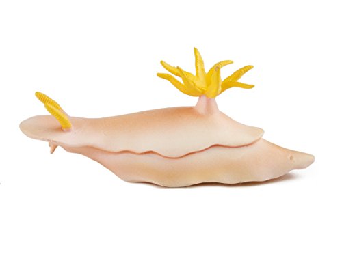 Safari Ltd. Nudibranch - Realistic Hand Painted Toy Figurine Model - Quality Construction from Phthalate, Lead and BPA Free Materials - For Ages 3 and Up