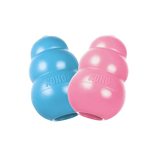 KONG Puppy Kong Toy, Small, Assorted Pink/Blue