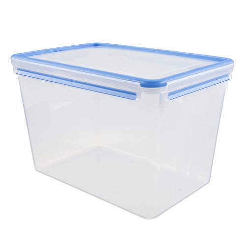 Contenedor Hermetico Grande - Sorrelliearringsideas