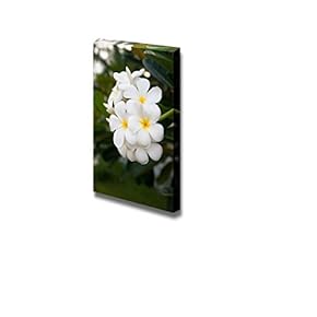 Fresh Blossoming Petunias on a Background of Green...