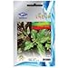 Red Holy Basil (2300 Seeds) Seeds - 1 Package From Chai Tai, Thailand