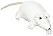 White - Ikea Gosig Ratta Rat Mouse Stuffed Animal Soft Toy, 9 in. by Ikea
