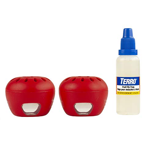 1 TERRO+Fruit+Fly+Trap+T2502