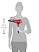 Remington AC9096 Silk Ceramic Ionic AC Professional Hair Dryer, Red