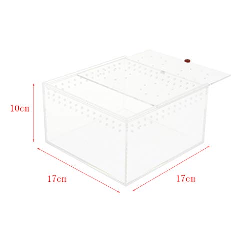 image for B Blesiya Holes Design Reptiles Amphibians Habitat Terrarium Vivarium 