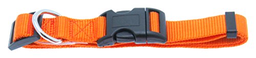 Barking Basics Dog Collar 18-26" Orange