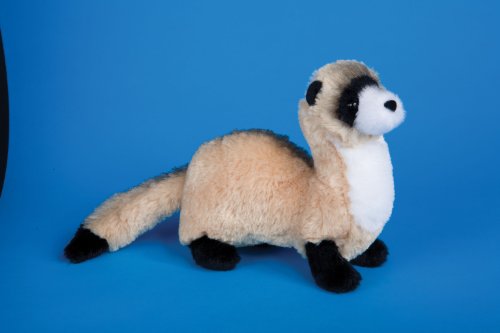 Douglas Dapper Ferret