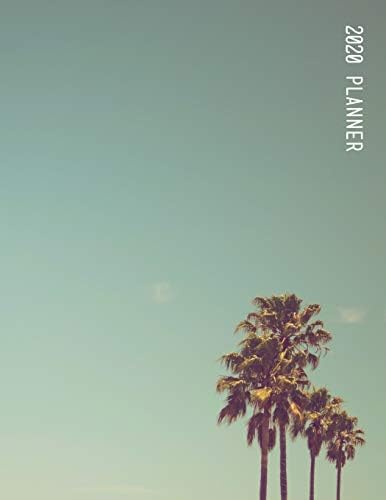 2020 Planner: Cool minimal tropical palm tree organiser | With monthly calendar section and weekly schedule / To do List Paperback – 5 Jun 2019