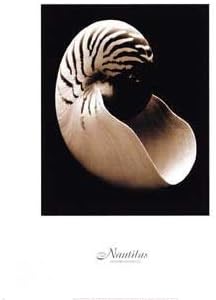 Sondra Wampler - Nautilus LAST ONES IN INVENTORY!!