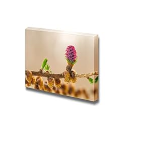 Larch Flower Wall Decor