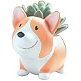 Cuteforyou Succulent Pots,Cute Animal Corgi Dog Shaped Flower Planters-Plants Not in Included (Resin)