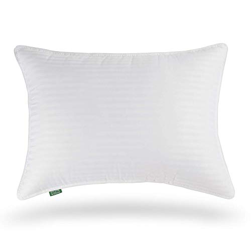 Fern and Willow Premium Loft Down Alternative Pillows for Sleeping (2-Pack) - Luxury Gel Plush Pillo - coolthings.us