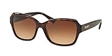 Coach Womens Sunglasses (HC8160) Tortoise/Brown Acetate - Non-Polarized - 56mm