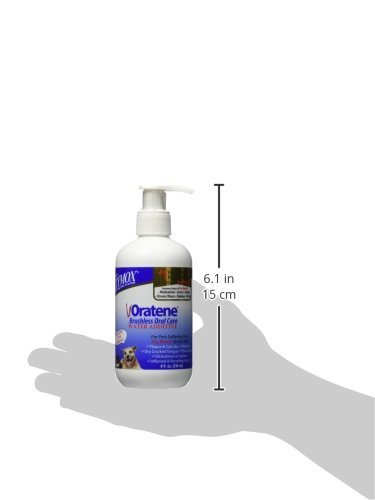 Pet King Brands Zymox Water Additive Oral Solution, 8-Ounce Pump Bottle