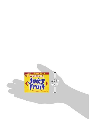 WRIGLEY’S JUICY FRUIT SLIM PACK, 14 OUNCE