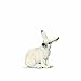 Schleich White Hare Toy Figure
