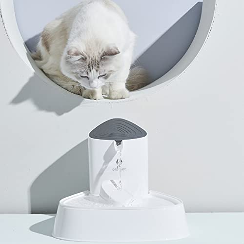 cat waterfall fountain