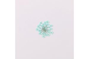 YUNZHI 100pcs/pack Ammi majus Natural Pressed Dried Flower for Resin Jewelry Making, Soap and Candle Making, Scrapbooking DIY (Turquoise)