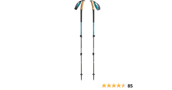 black diamond trail ergo cork