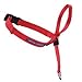 Premier-Pet-Products Gentle Leader Qucik Release Headcollar: Large, Royal Blue