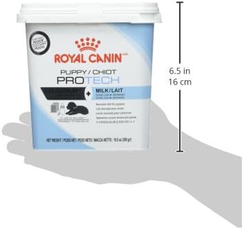 royal canin protech milk