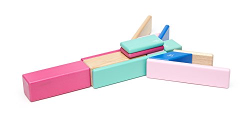14 Piece Tegu Magnetic Wooden Block Set, Blossom.