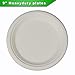 CantaGreen 9 inch Compostable Plates, 100 Count Heavyduty Sugarcane/Bagasse and Bamboo Fibre Biodegradable Disposable Paper Plate