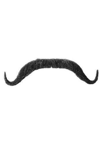 Muskateer Moustache