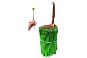 FLOWER BEE FLORAL SUPPLY Wood Picks Flower Stem Extenders, 3-7 inches, 25-400 ct., Green, with Copper Wire (25, 4 INCH), FBFSWWPA37