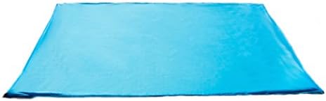 Deep Dive Scuba Ultimate Sandless Beach Blanket 100% Rip-Stop Seamless Parachute Nylon 7' x 8' with 4 Aluminum Stakes and Carry Case. Made in The USA