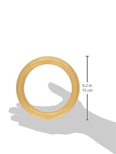 Nylabone Giant Original Flavored Ring Bone Dog Chew Toy
