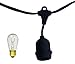 String Light Company Vintage 48-Ft Outdoor Commercial String Lights with 15 Suspended Sockets and 15 Clear S14 Bulbs, 16 Gauge Black Cord