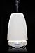 Premium Diffuser for Essential Oil Long Lasting Natural Air Freshener Elegant Ceramic Shell No Rainbow Lights