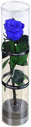 Live Enchanted Rose Eternal Flower Preserved Forever Rose Immortal Fresh Rose Everlasting Flowers Single Rose Bouquet Valentine's Day