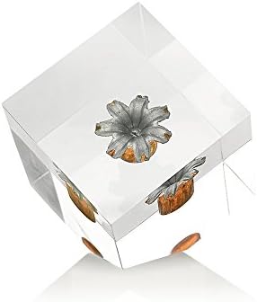 Fired Shots REAL Expanded Hollow Point Bullet - Gun Accessories, Gun Lover Gifts and Collectible Souvenir, Stocking Stuffers and Gifts for Men (.45 Speer Gold Dot)