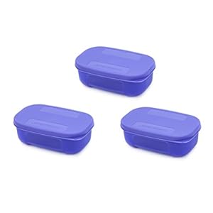 Signoraware ICY Cool Plastic Container Set, 140ml, Set of 3, Violet