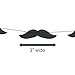 Bobee Mustache Party Decorations Paper Garland Streamers, one Strand for 14 feet, 48 Mustaches per Strand
