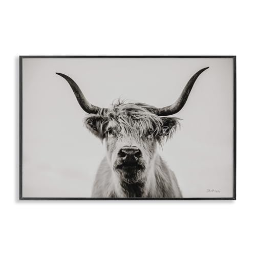 Stupell Industries Calm Cattle Portrait Framed Giclee Art Design by Dakota Dien…