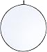 Amazon Basics 5 in 1 Collapsible Multi-Disc Photography Light Reflector with Bag - 43 Inch
