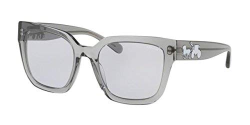 coach mens sunglasses