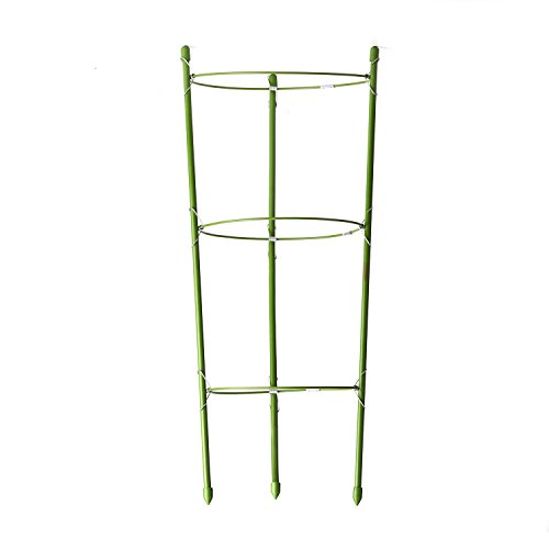 Top 10 Best Plant Supports For Small Potted Plants Top Reviews No