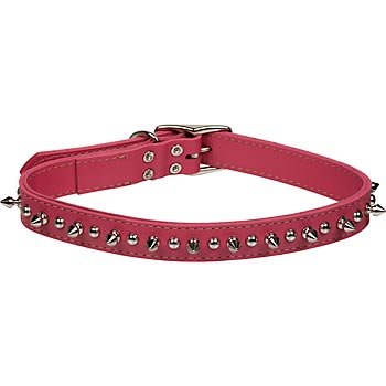 petco spiked collar