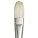 Winsor & Newton Artists' Oil Hog Paint Brush, Long Handle Size 10, Filbert