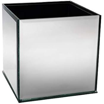 Royal Imports Flower Glass Vase Decorative Centerpiece for Home or Wedding Cube Plate Glass, 5